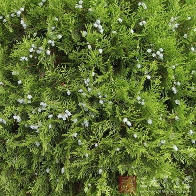 FLYPRO飞豹携XEagle无人机亮相2016全球最大无人机展AUVSIXPONENTIAL|AG亚娱集团官方