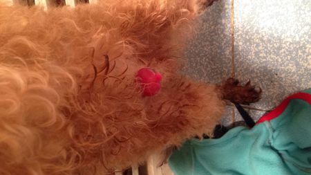 AG亚娱集团官方