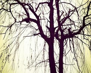 AG亚娱集团官方