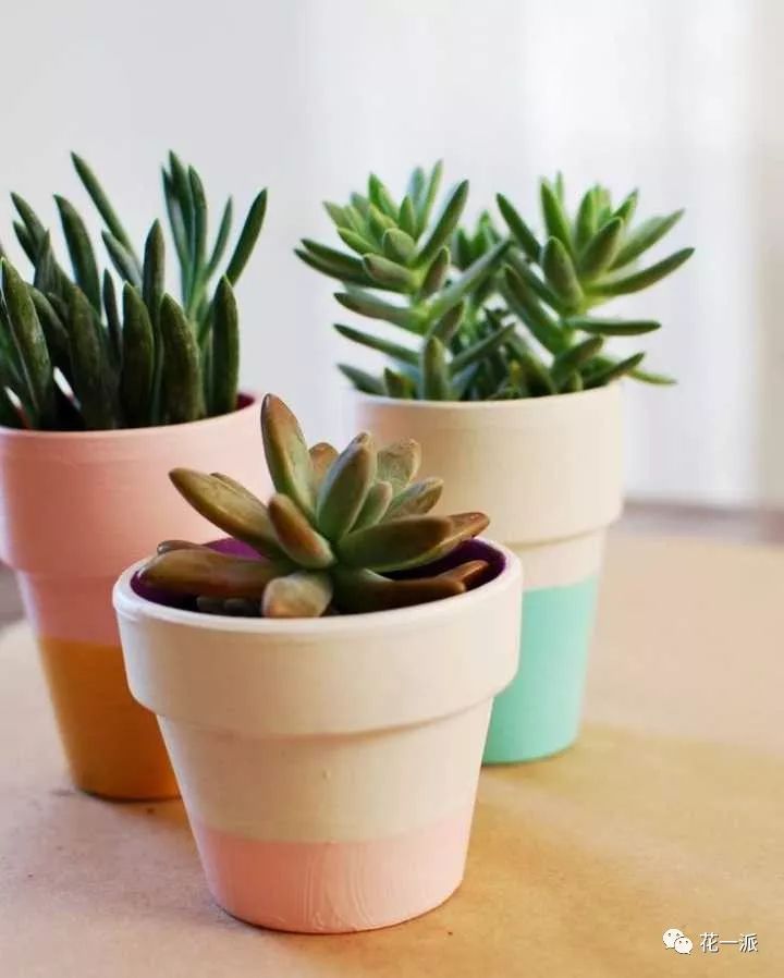 AG亚娱集团官方