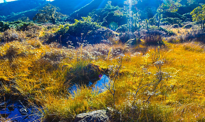 微信民众号《逻辑思维》的谋划治理模式分析_AG亚娱集团官方