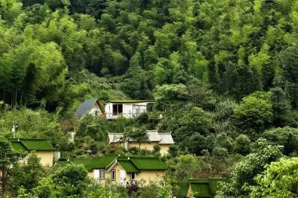 AG亚娱集团官方