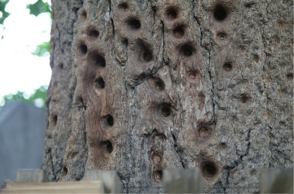 运城空港消防联合执法-AG亚娱集团官方(图3) AG亚娱集团