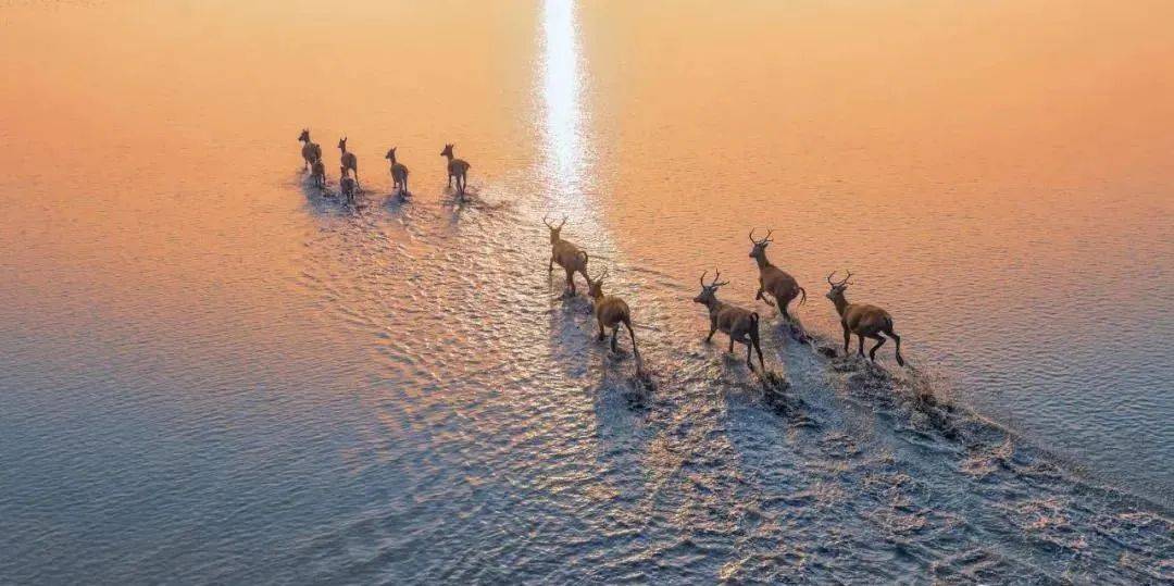 媒体聚焦 即将启幕!黄浦江畔 沪动盐城!“ag亚娱官网”(图7)
媒体聚焦 即将启幕!黄浦江畔 沪动盐城!“ag亚娱官网”(图7)