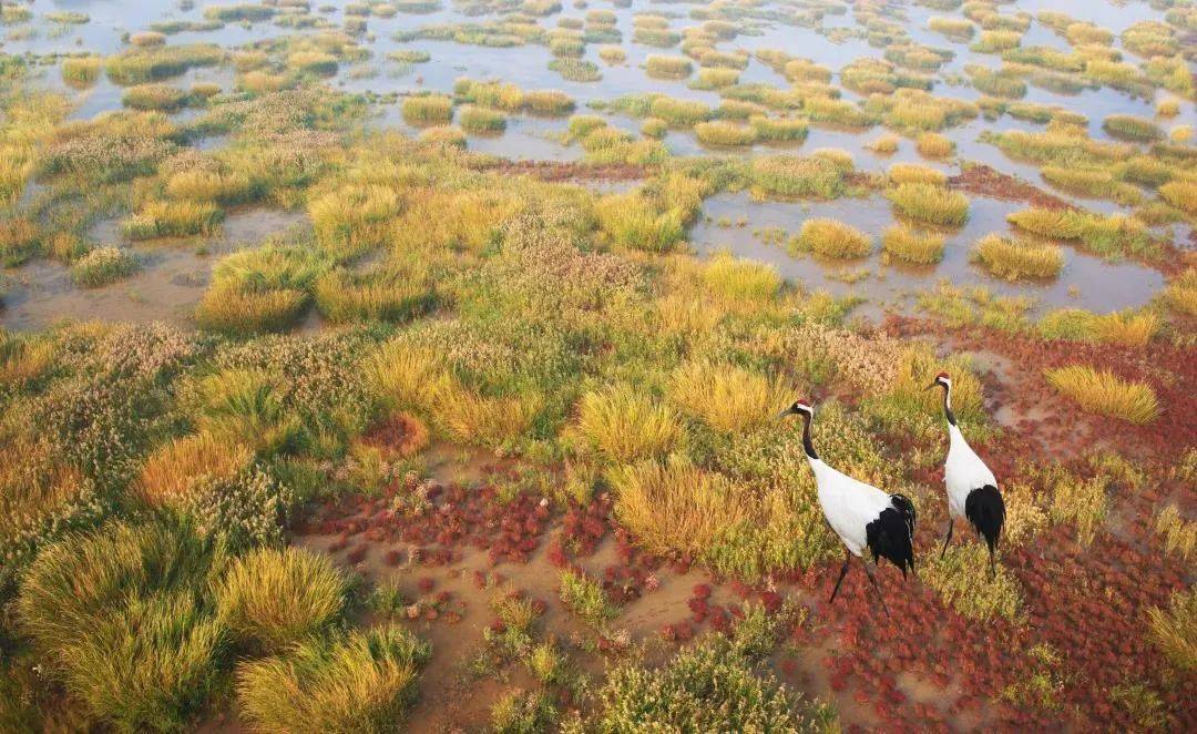 媒体聚焦 即将启幕!黄浦江畔 沪动盐城!“ag亚娱官网”(图8)
媒体聚焦 即将启幕!黄浦江畔 沪动盐城!“ag亚娱官网”(图8)