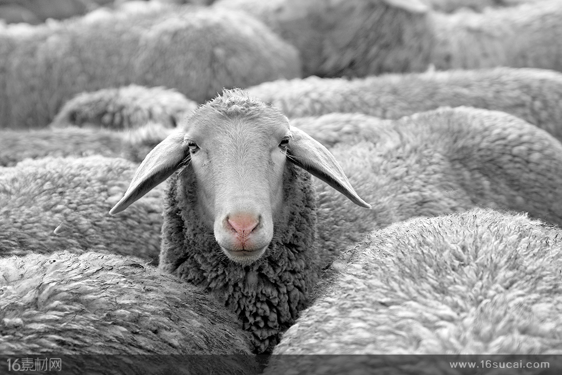 常德:武陵消防与50名萌娃共谱“安全曲”:AG亚娱集团官方(图2) AG亚娱集团