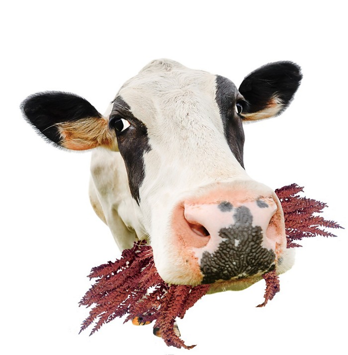 AG亚娱集团官方