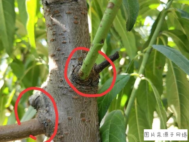 网易热寻90后晒家乡美照 赢“土豪”奖学金_AG亚娱集团官方(图3) AG亚娱集团