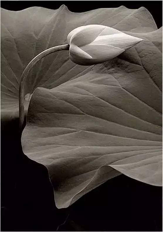 ag亚娱官网|2020智能安防持续发展 面临哪些机遇与挑战?(图4) ag亚娱官网