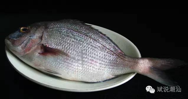 ‘AG亚娱集团’什么是自媒体?相识自媒体是什么意思才气把自媒体做好?(图3) AG亚娱集团