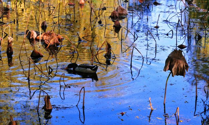 干货|90%农业人都在研究这20大新媒体营销“ag亚娱官网”(图2) ag亚娱官网