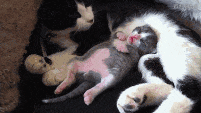 AG亚娱集团：
4种睡姿 一定有你 优缺点统计全是干货！(图2)