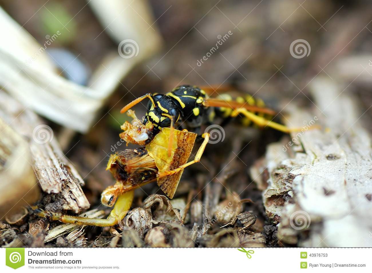 AG亚娱集团官方