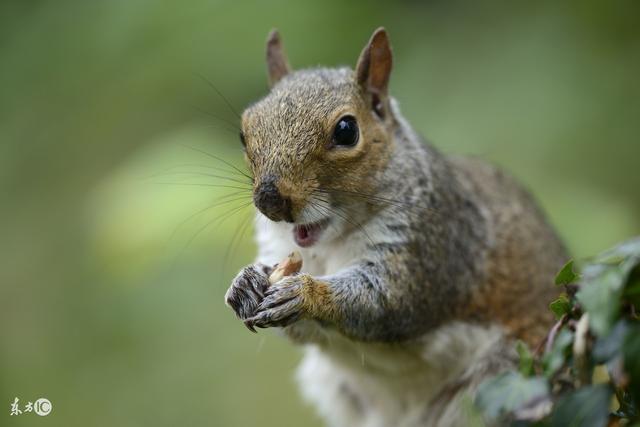 AG亚娱集团官方