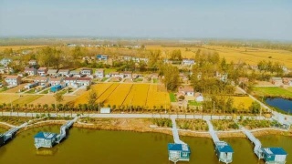 AG亚娱集团官方