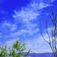 AG亚娱集团-贵州黔西消防开展文广局行业系统安全培训演练活动(图1) ag亚娱官网