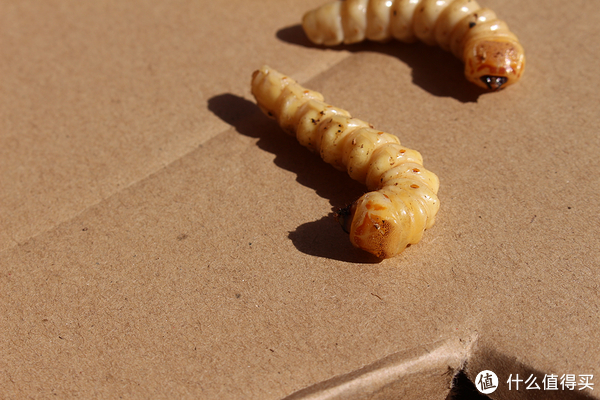 AG亚娱集团官方