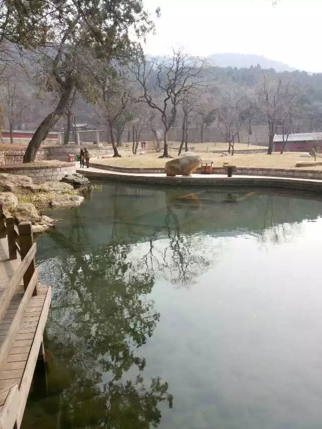 安徽合肥常青街道:上门入户宣传禁燃禁放“AG亚娱集团官方”(图3) ag亚娱官网