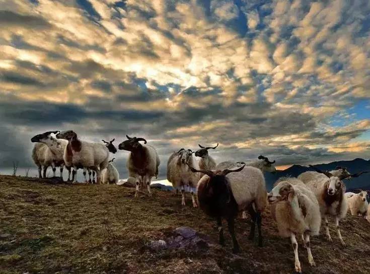 AG亚娱集团官方