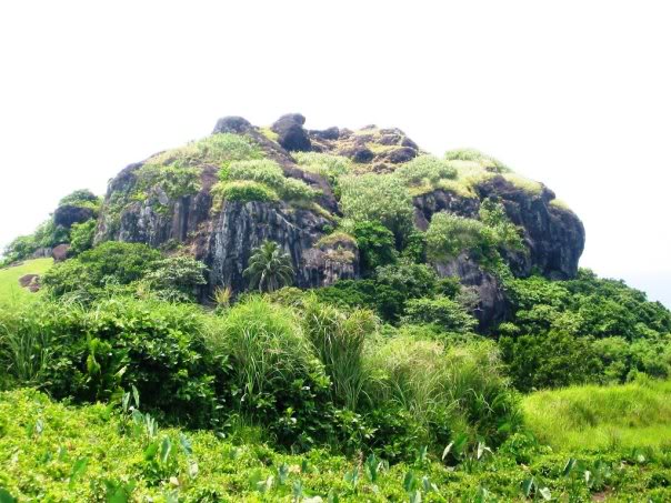 突发|吴恩达确定将从百度离职称赞李彦宏是AI领域最优秀CEO“AG亚娱集团官方”