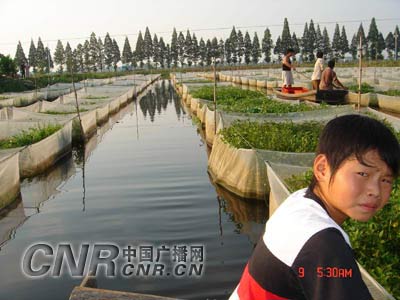 普陀山消防联合志愿者走进居民区开展防火宣传|AG亚娱集团官方