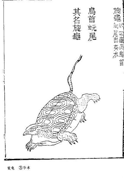 AG亚娱集团官方