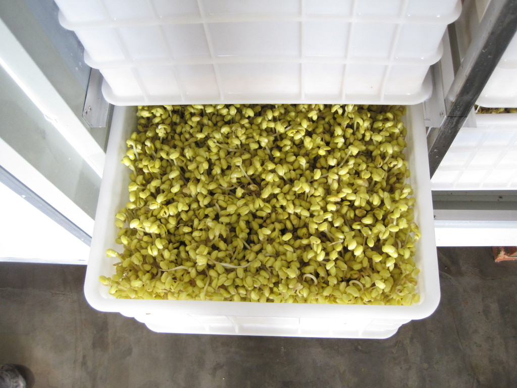 AG亚娱集团官方