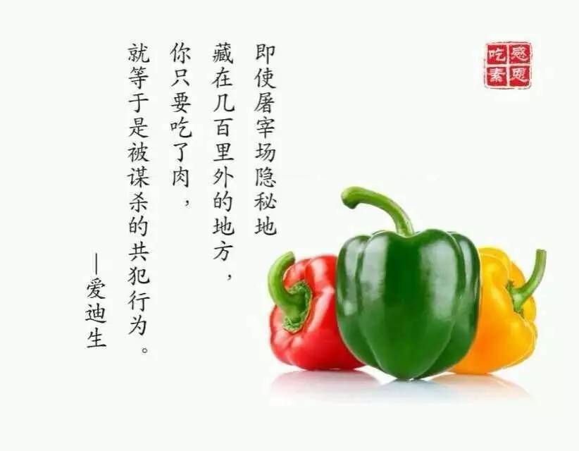 智慧城市发出“落地宣言”丨CCF-GAIR2019:AG亚娱集团(图2) AG亚娱集团官方