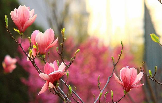 AG亚娱集团官方