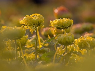 屡创新低的手机业务与重蹈覆辙的VR:HTC真的要凉?‘AG亚娱集团官方’(图3) AG亚娱集团