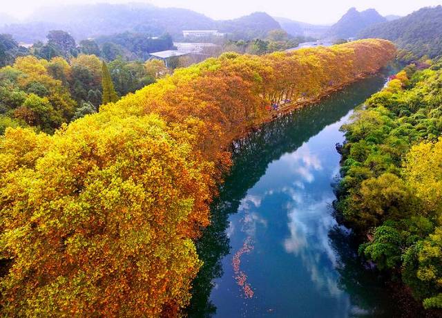 AG亚娱集团官方