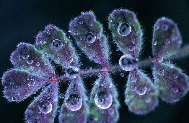 
11月最后13天虎·羊·蛇三生肖厄运远离 小人不近 今后富贵到年底‘AG亚娱集团官方’(图3)