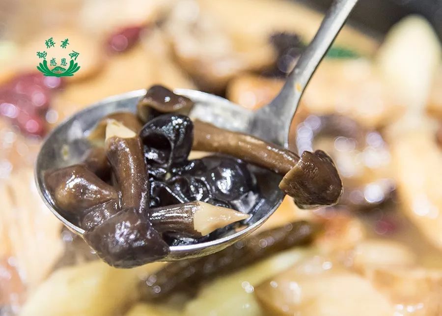 “ag亚娱官网”ofo否认卖给滴滴；IBM开发区块链平台；Uber自动驾驶卡车项目流产丨雷锋早报