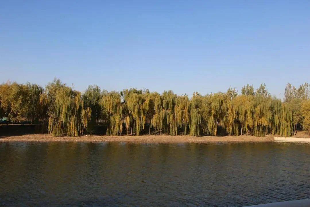 
新媒体中心开展单反相机使用技术培训“AG亚娱集团”(图10)