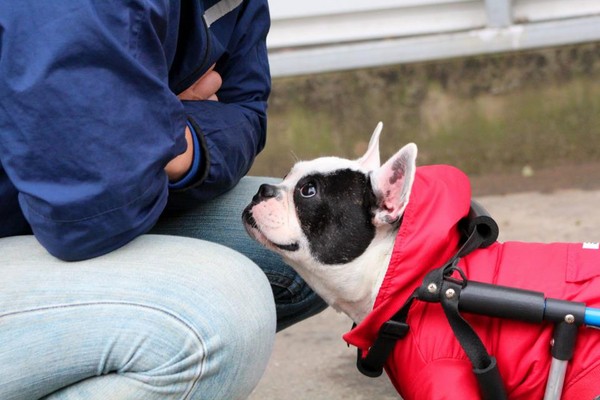 被称为“最佳游戏处理器”的i9-9900K也没摆脱英特尔的设计困扰?“ag亚娱官网”(图3) AG亚娱集团