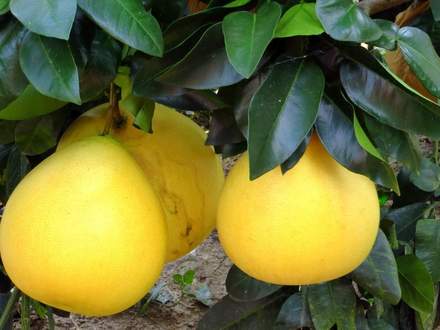 mercylmercy是郑爽新小号吗？mercylmercy微博小号资料地址|AG亚娱集团