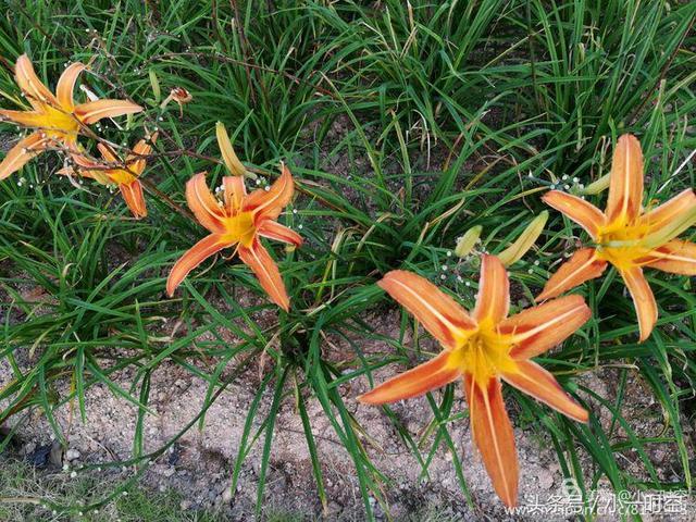 AG亚娱集团官方