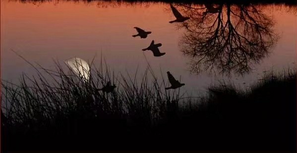 AG亚娱集团官方