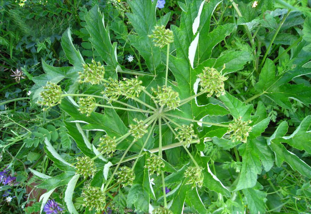 电商闭环遇金融风险 涉足支付被央行约谈-AG亚娱集团(图2) AG亚娱集团