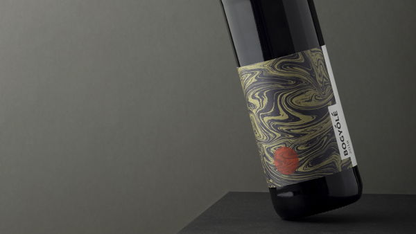 AG亚娱集团官方-DCM创投高健凯：未来十年底层科技趋势和创业机会