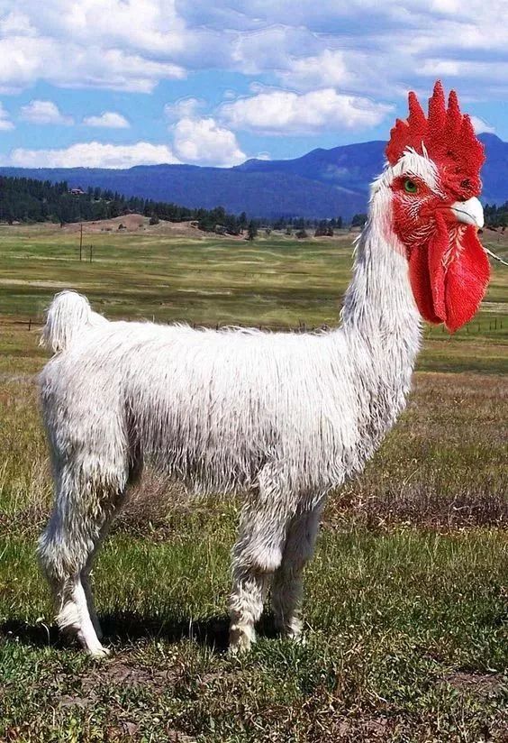 应届博士年薪80万元 AI行业工作真这么好找吗?_AG亚娱集团官方(图4) AG亚娱集团