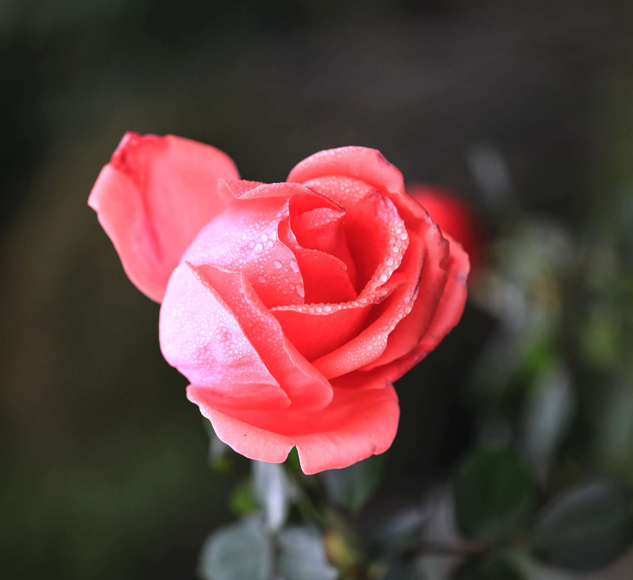 
新车 | 新增悬浮式中控屏 本田新一代思域内饰专利图曝光|AG亚娱集团