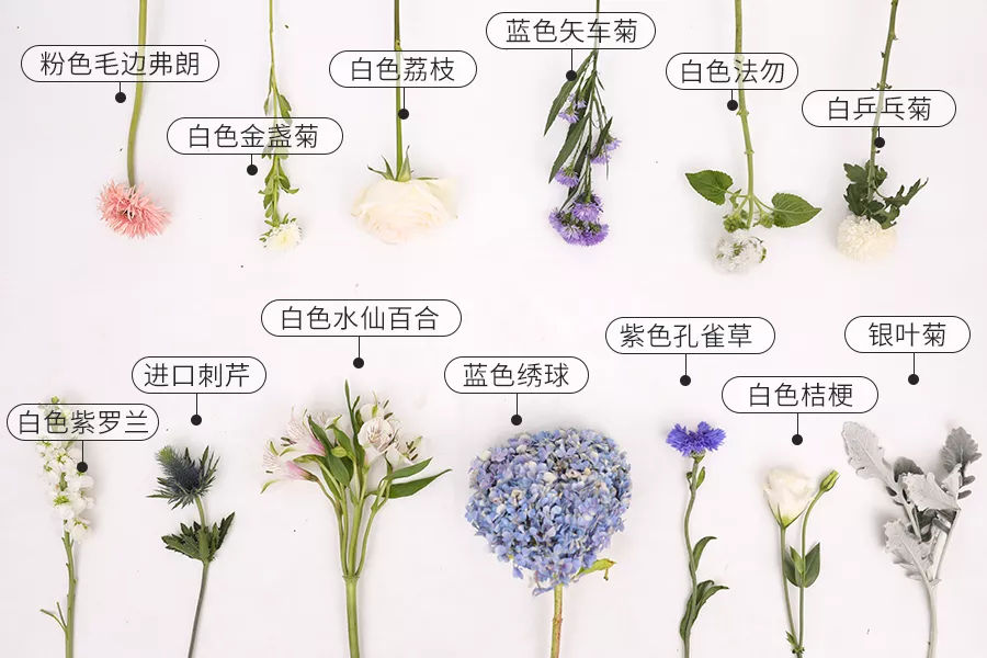 AG亚娱集团官方