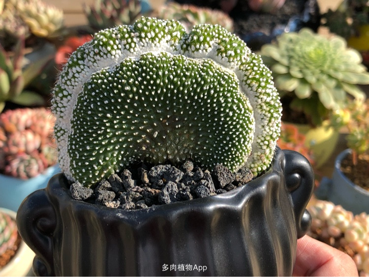 AG亚娱集团官方