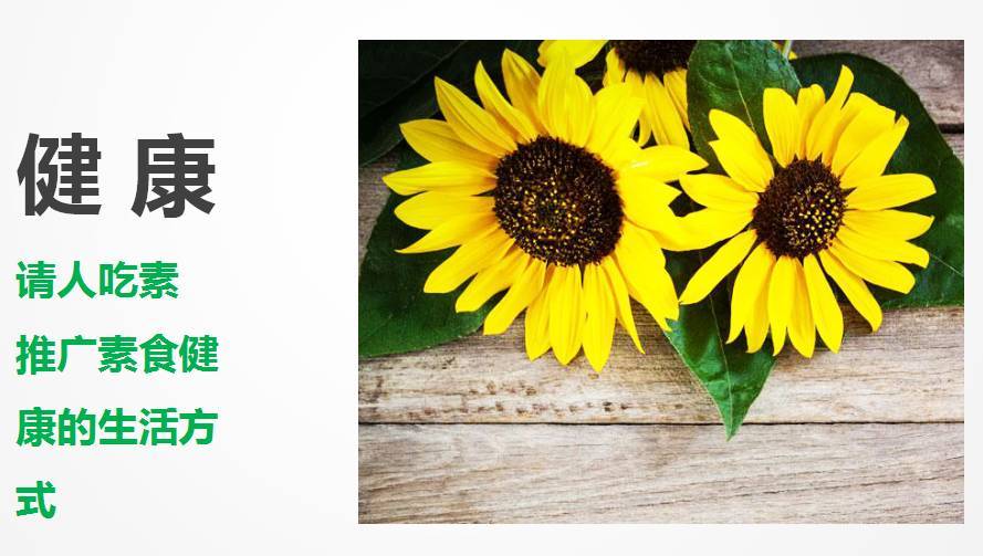 “网易见外”到场中国视听大会 AI视频翻译功效惊艳全场“AG亚娱集团”(图3) AG亚娱集团官方