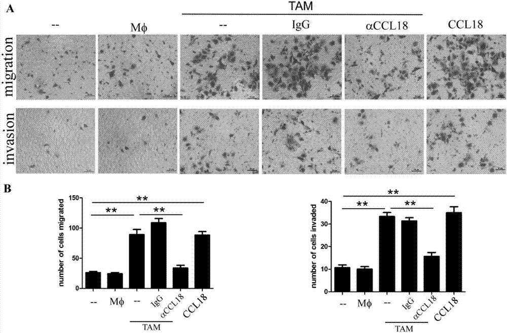 AG亚娱集团官方