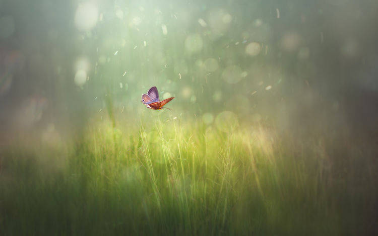 【AG亚娱集团】
3生肖气质比力奇特 不会随波逐流 能够牢牢掌握住时机(图3)