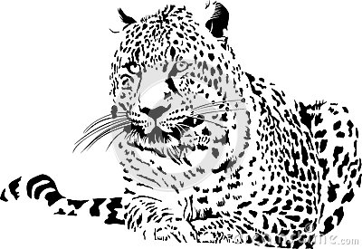 AG亚娱集团官方