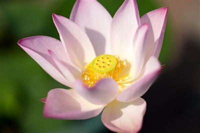 AG亚娱集团官方