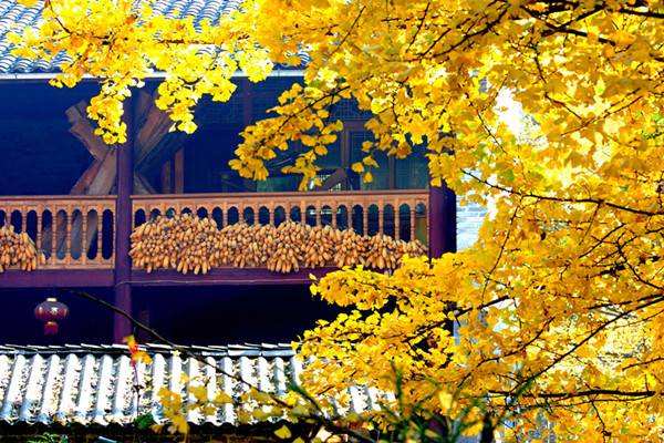 AG亚娱集团官方